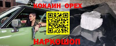 a pvp Бийск