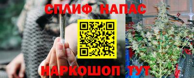 a pvp Бийск