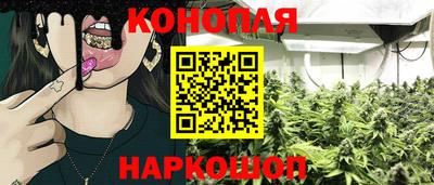 a pvp Бийск
