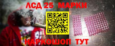 a pvp Бийск