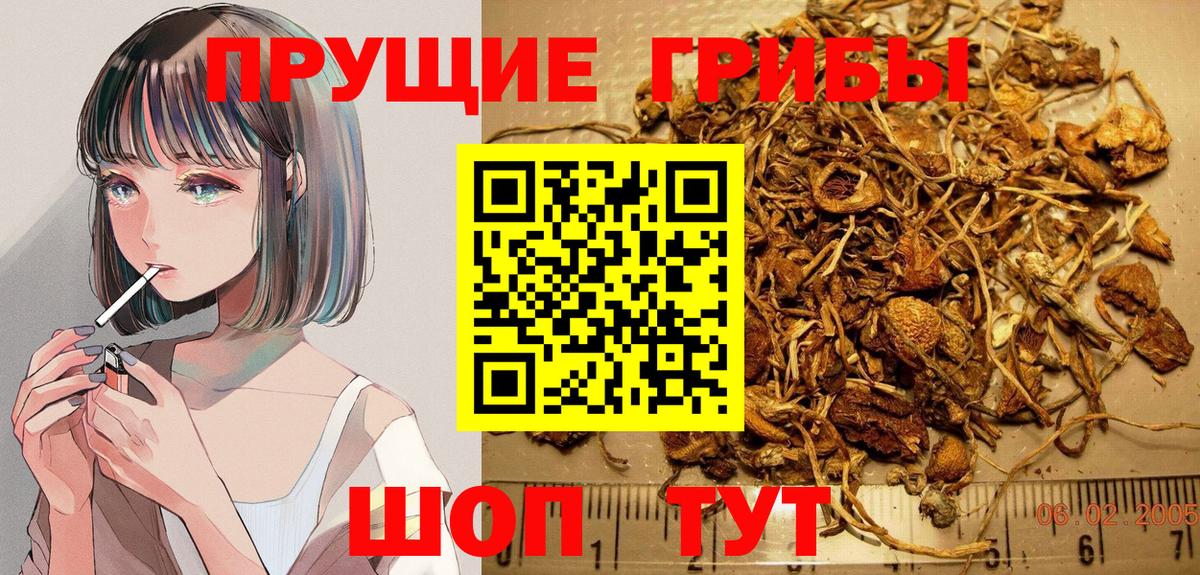 Псилоцибиновые грибы MAGIC MUSHROOMS  Псилоцибиновые грибы Psilocybe  Ипатово  Вход с VPN 